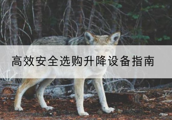 和田升降货梯厂家推荐-*安全选购升降设备指南