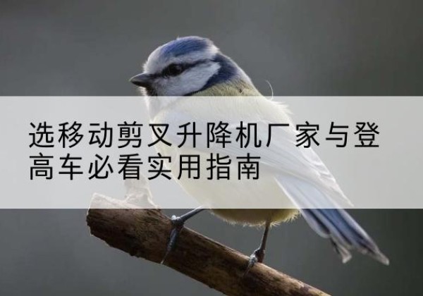 和田电动升降机厂家-选移动剪叉升降机厂家与登高车必看实用指南